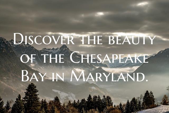 Discover the beauty of the Chesapeake Bay in Maryl...