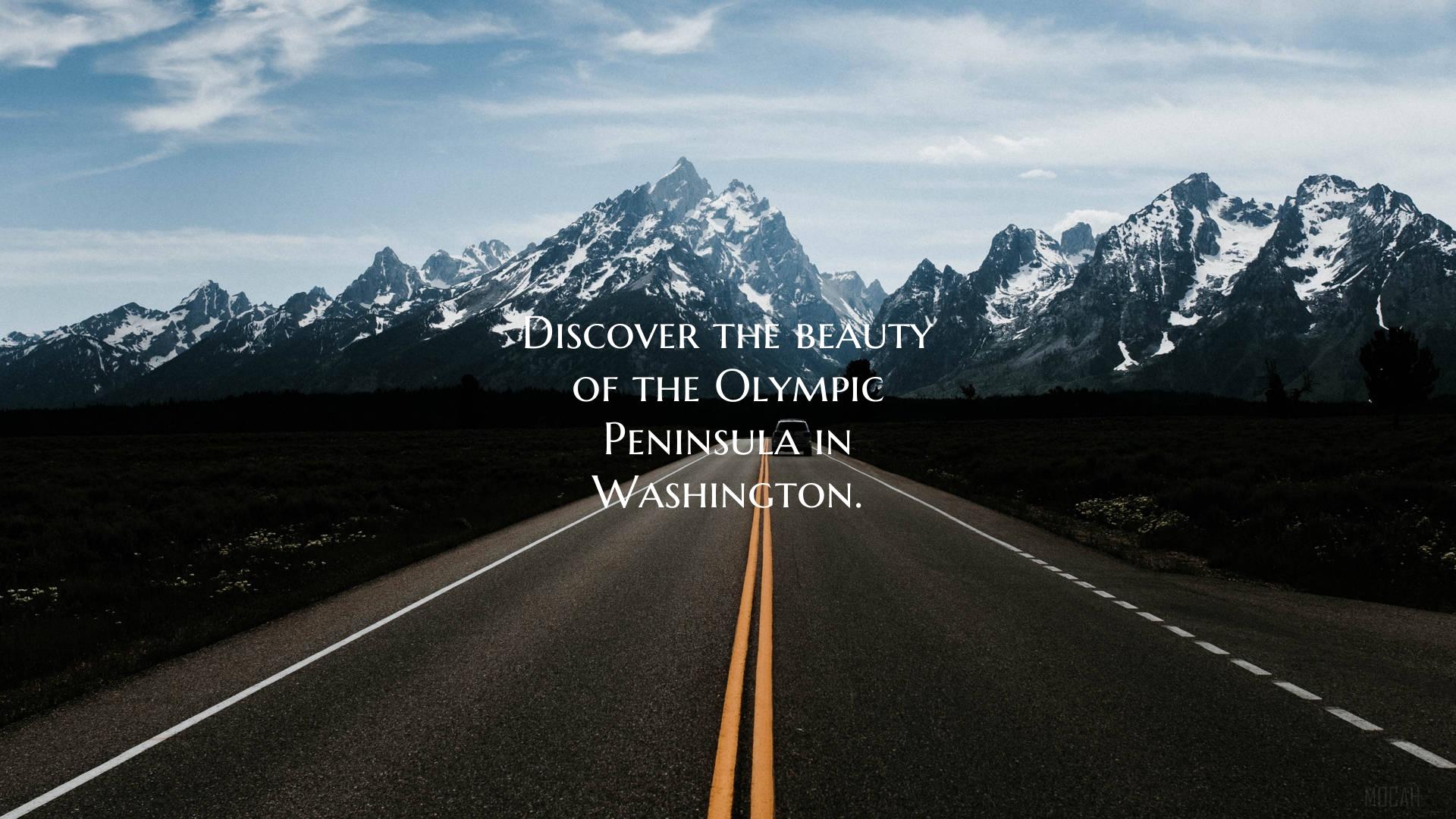 Discover the beauty of the Olympic Peninsula in Wa...